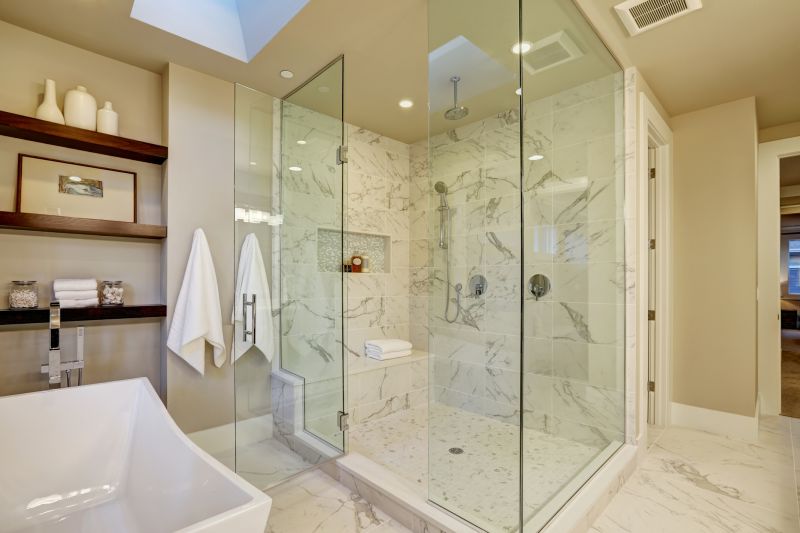 Premium Shower Design